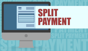 Software gestione Split payment